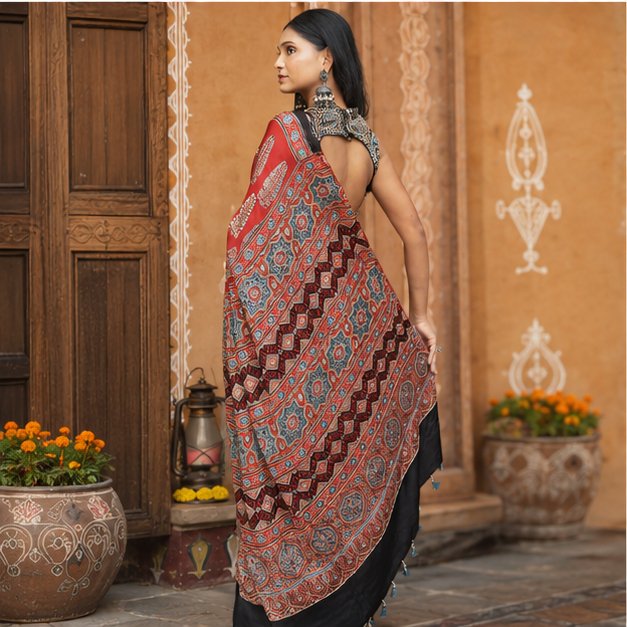 ShrEes EMBROIDERY MODAL AJRAKH SAREE - View 4
